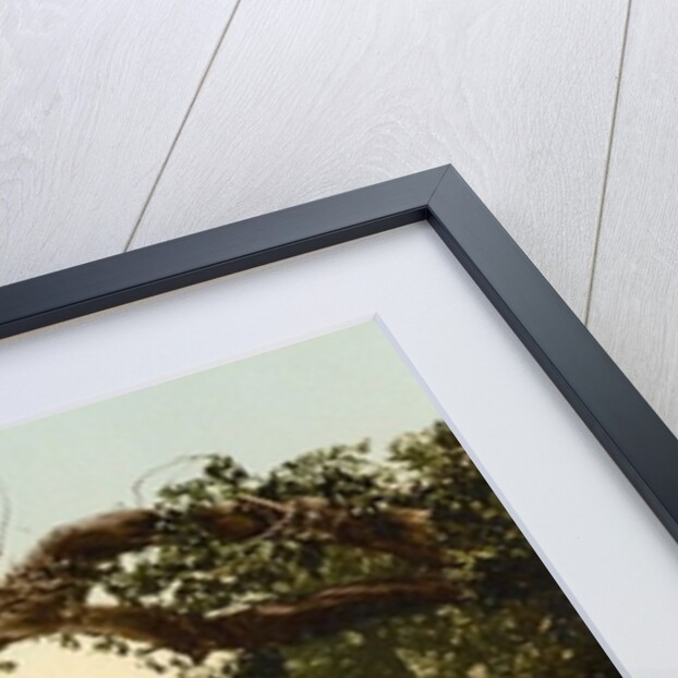 Meeting of the Waters, Killarney. County Kerry, Ireland, c.1890-c.1900 by Anonymous