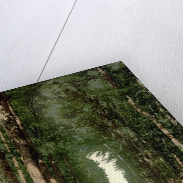 Hohesonne and view of the Wartburg, Wartburg, Thuringia, German, c.1890-c.1900 by Anonymous