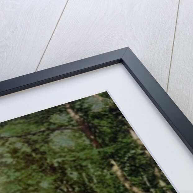 Hohesonne and view of the Wartburg, Wartburg, Thuringia, German, c.1890-c.1900 by Anonymous