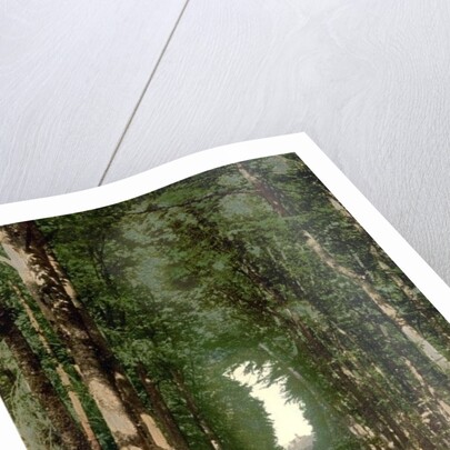 Hohesonne and view of the Wartburg, Wartburg, Thuringia, German, c.1890-c.1900 by Anonymous