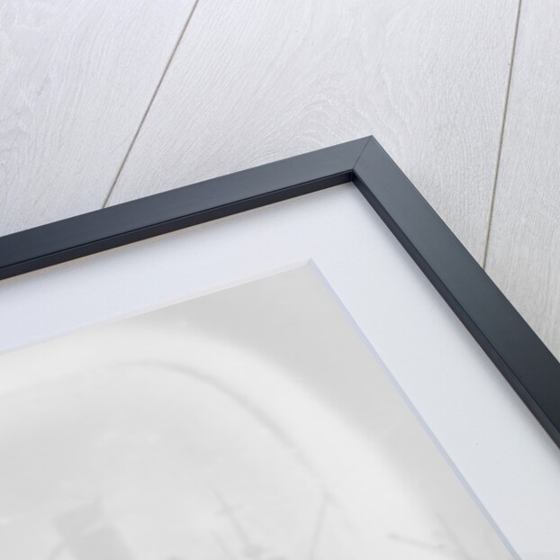 Portuguese Troops disembarking, Brest, 1917 by Anonymous