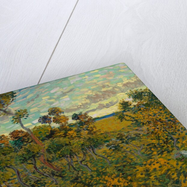 Sunset at Montmajour, 1888 by Vincent van Gogh