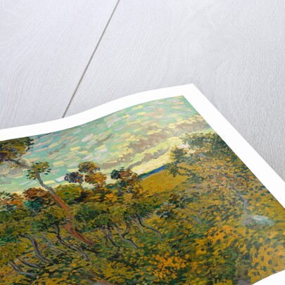 Sunset at Montmajour, 1888 by Vincent van Gogh