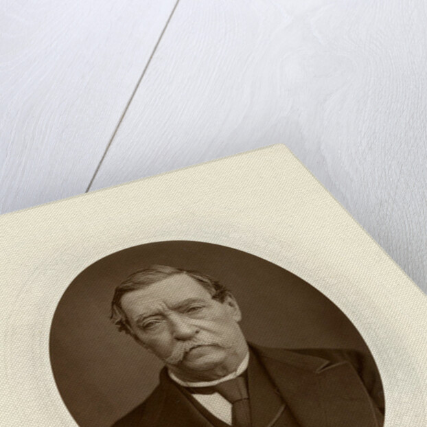 Lord Napier of Magdala by Georges Fraipont