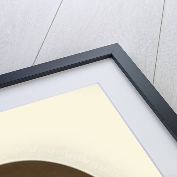 Lord Napier of Magdala by Georges Fraipont