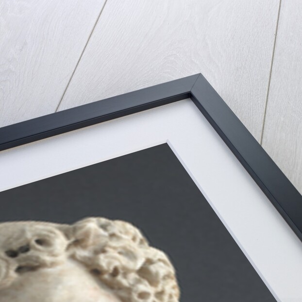 Head of a Bearded Man, 1312-14 by Giovanni Pisano