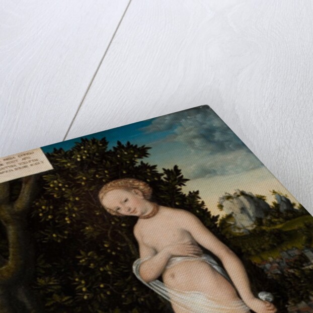 Venus with Cupid Stealing Honey, 1530 by Lucas the Elder Cranach