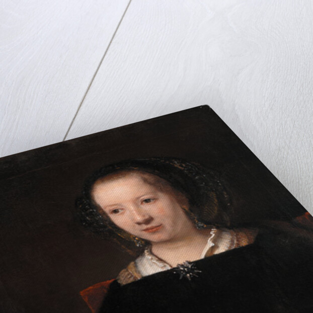 Young Woman with a Carnation, 1656 by Willem Drost