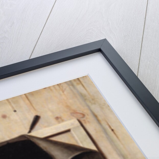 Trompe l'oeil with Studio Wall and Vanitas Still Life, 1668 by Cornelis Norbertus Gijsbrechts