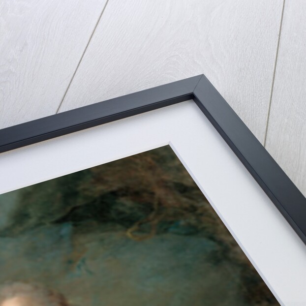 Frederik V in his Anointing Robes, c. 1750 by Carl Gustaf Pilo