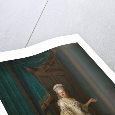 The Dowager Queen Juliane Marie of Denmark, 1776 by Vigilius Erichsen