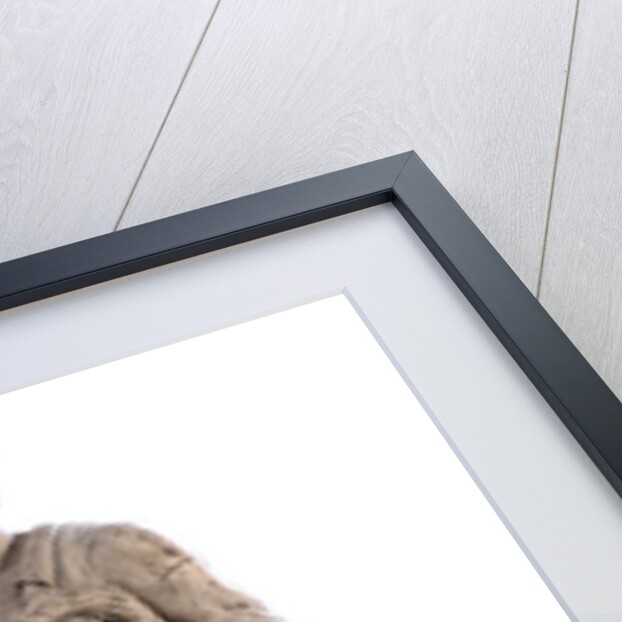 Amor patriae. Allegory symbolising patriotism, 1777 by Carl Frederik Stanley