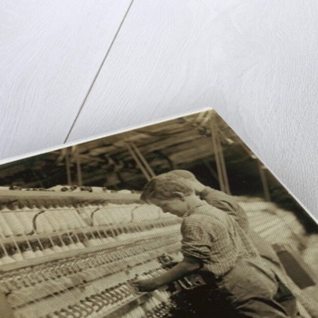 Young doffers replacing full bobbins at North Pownal, Vermont, 1910 by Lewis Wickes Hine