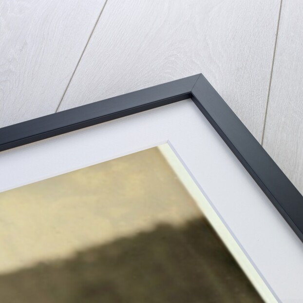 Dave, a young 'pusher', moving trams and coal, at Bessie Mine, Alabama, 1910 by Lewis Wickes Hine