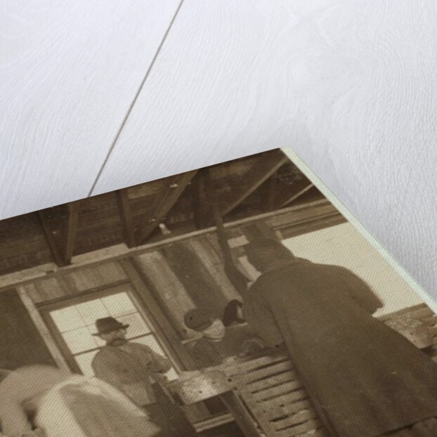 10 year old Mike Murphy, 7 year old Annie Healy and 10 year old Ross Healy in the shucking shed at Alabama Canning Co, Bayou La Batre, Alabama, 1911 by Lewis Wickes Hine