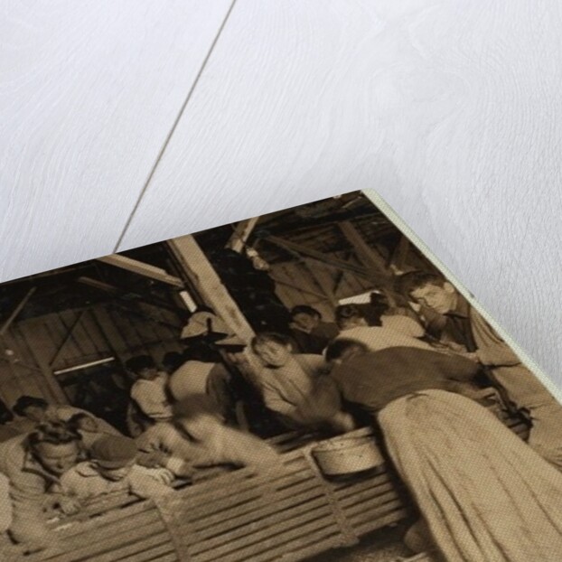 Bill May, aged 5 who makes 15 cents a day, in the shucking shed at Barataria Canning Company, Biloxi, Mississippi, 1911 by Lewis Wickes Hine