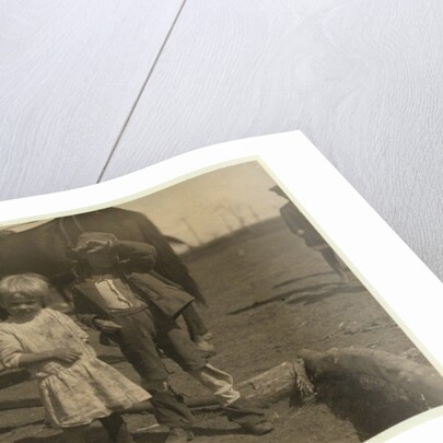 Cotton picker aged 4 who picks 15 pounds a day regularly and 7 year old who picks 50 by Lewis Wickes Hine