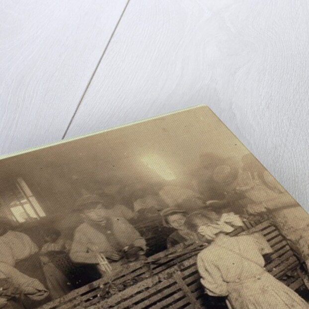 Factory of Lowden Canning Company, Bluffton, South Carolina by Lewis Wickes Hine
