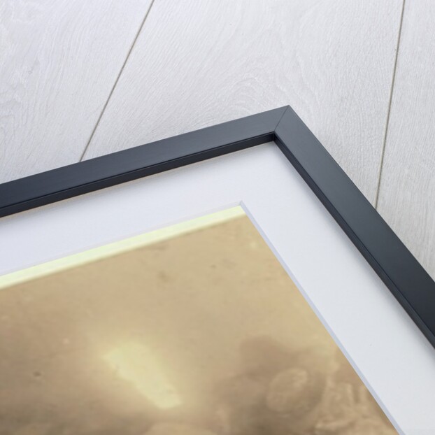 Factory of Lowden Canning Company, Bluffton, South Carolina by Lewis Wickes Hine