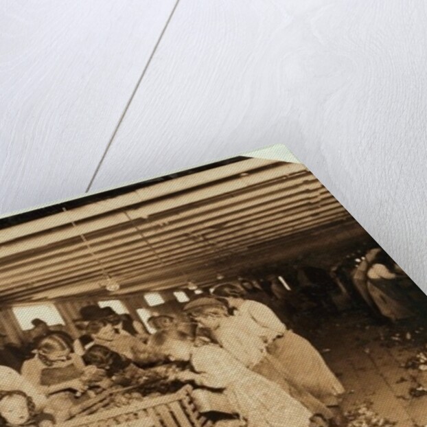 Rosy aged 8 works a 14 hour day as an oyster shucker at Dunbar Cannery, Louisiana, 1911 by Lewis Wickes Hine