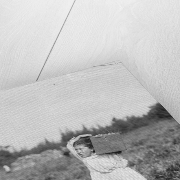 Jennie Camillo picking cranberries at Theodore Budd's Bog, Turkeytown, New Jersey, 1910 by Lewis Wickes Hine