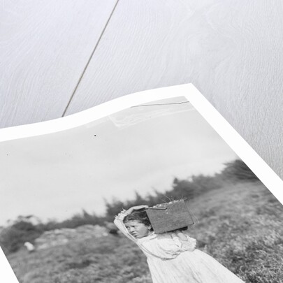 Jennie Camillo picking cranberries at Theodore Budd's Bog, Turkeytown, New Jersey, 1910 by Lewis Wickes Hine