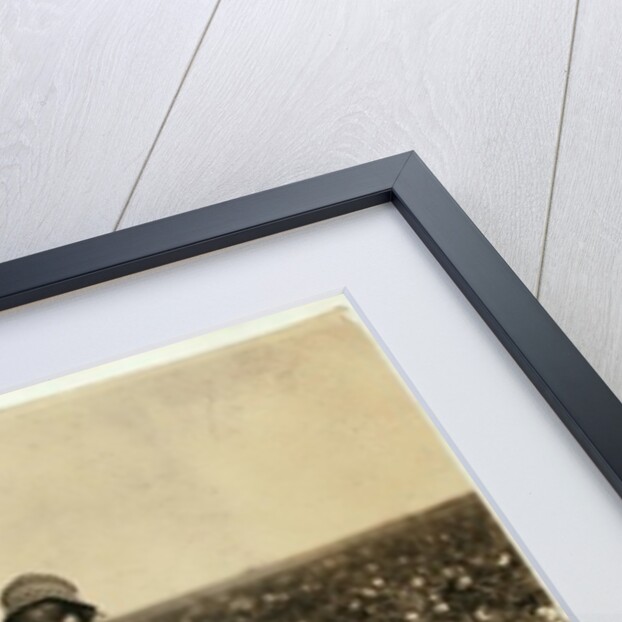 Jewel and Harold Walker, 6 and 5 years old, pick 20 to 25 pounds of cotton a day at Geronimo,Comanche County Oklahoma, 1916 by Lewis Wickes Hine