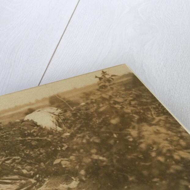 A six year old Polish girl picking berries all day with her family by Lewis Wickes Hine