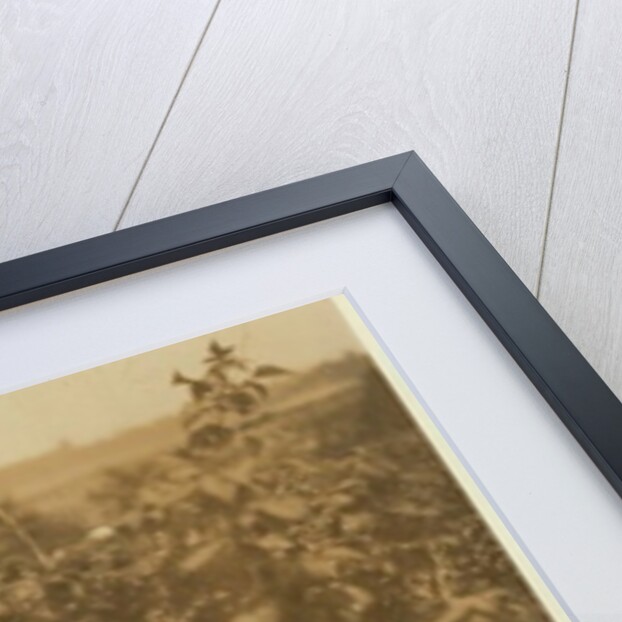 A six year old Polish girl picking berries all day with her family by Lewis Wickes Hine