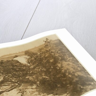 A six year old Polish girl picking berries all day with her family by Lewis Wickes Hine