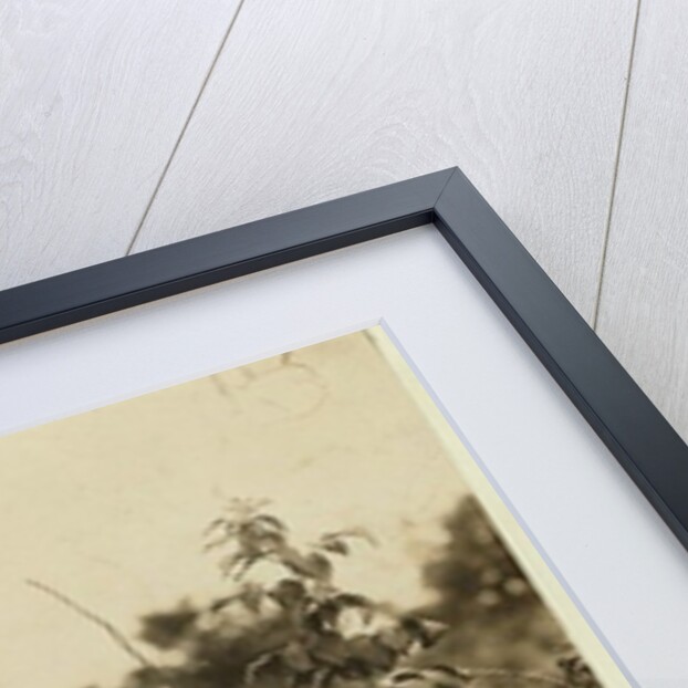 Annie Bissie picking berries in the fields near Baltimore, Maryland, 1909 by Lewis Wickes Hine