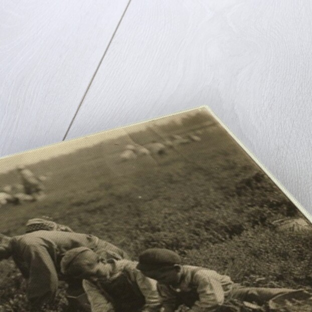 Jo Arnao 3, picking cranberries with his brother 6 and sister 9 at Whites Bog, Browns Mills, New Jersey, 1910 by Lewis Wickes Hine