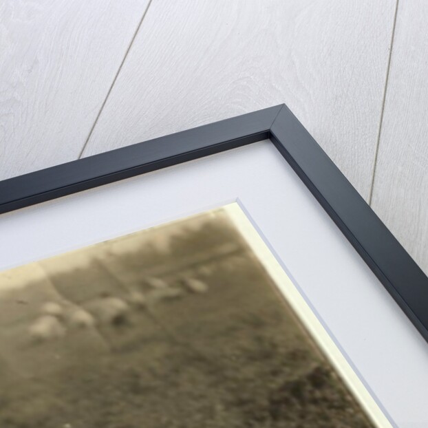 Jo Arnao 3, picking cranberries with his brother 6 and sister 9 at Whites Bog, Browns Mills, New Jersey, 1910 by Lewis Wickes Hine