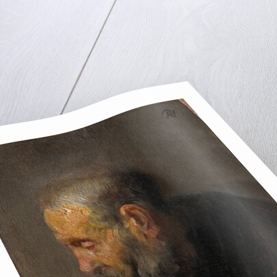Study of an Old Man in Profile, c. 1630 by Rembrandt Harmensz. van Rijn