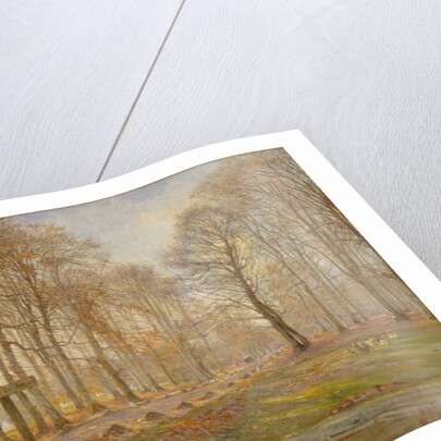 Late Autumn Day in the Jægersborg Deer Park, North of Copenhagen, 1886 by Theodor Esbern Philipsen