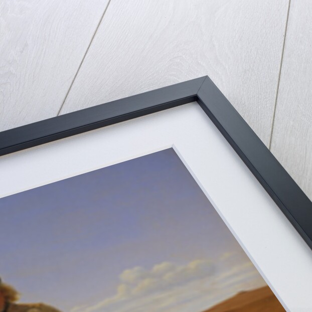 A Jutland Shepherd on the Moors by Frederik Vermehren