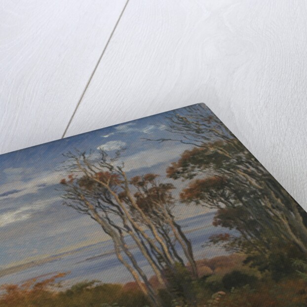 Kolås Wood. Vejrhøj, 1846 by Johan Thomas Lundbye