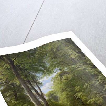 A Beech Wood in May near Iselingen Manor, Zealand, 1857 by Peter Christian Skovgaard