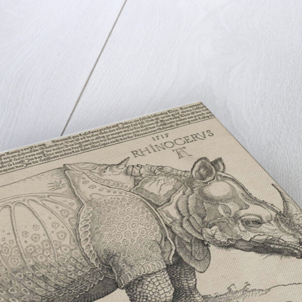 The Rhinoceros, 1515 by Albrecht Dürer or Duerer