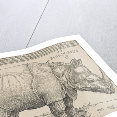 The Rhinoceros, 1515 by Albrecht Dürer or Duerer