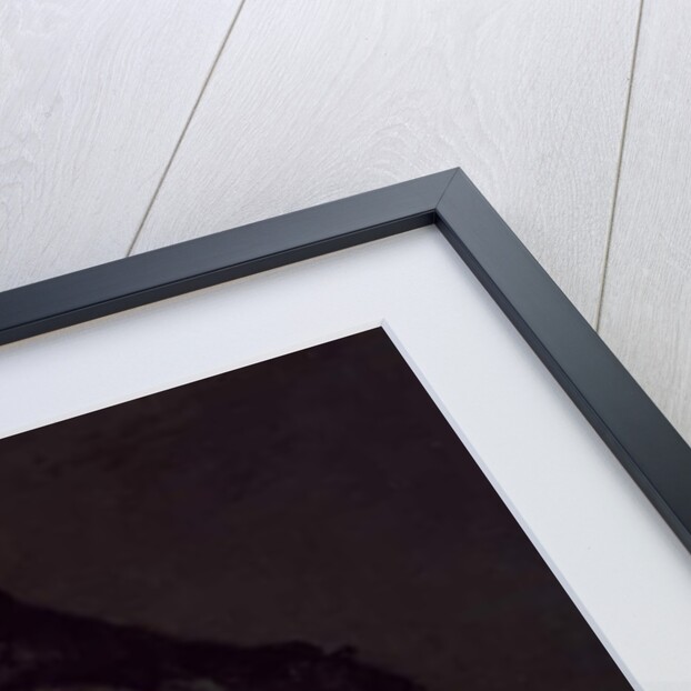 Mrs Pigott of Chetwynd, 1761 by Joshua Reynolds