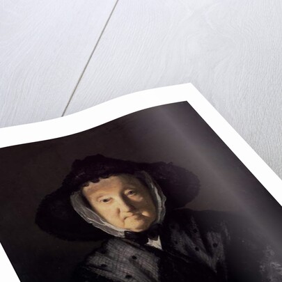 Mrs Pigott of Chetwynd, 1761 by Joshua Reynolds