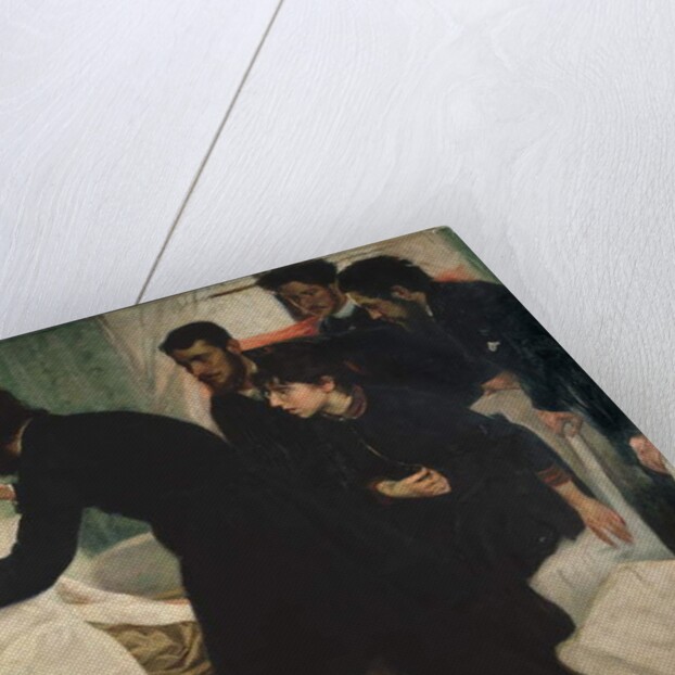 Hypnotic Seance, 1887 by Sven Richard Bergh