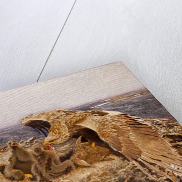 Sea Eagle's Nest, 1907 by Bruno Andreas Liljefors