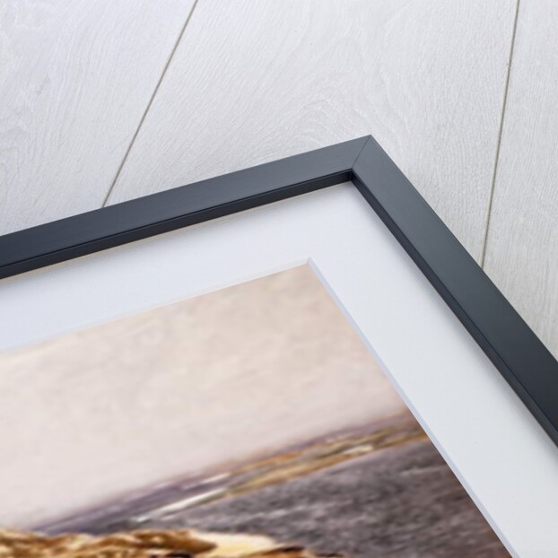 Sea Eagle's Nest, 1907 by Bruno Andreas Liljefors