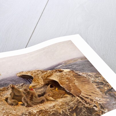 Sea Eagle's Nest, 1907 by Bruno Andreas Liljefors