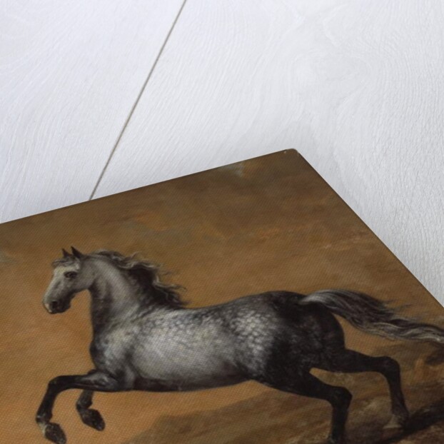 The Little Englishman, King Karl XI's Horse by David Klocker Ehrenstrahl