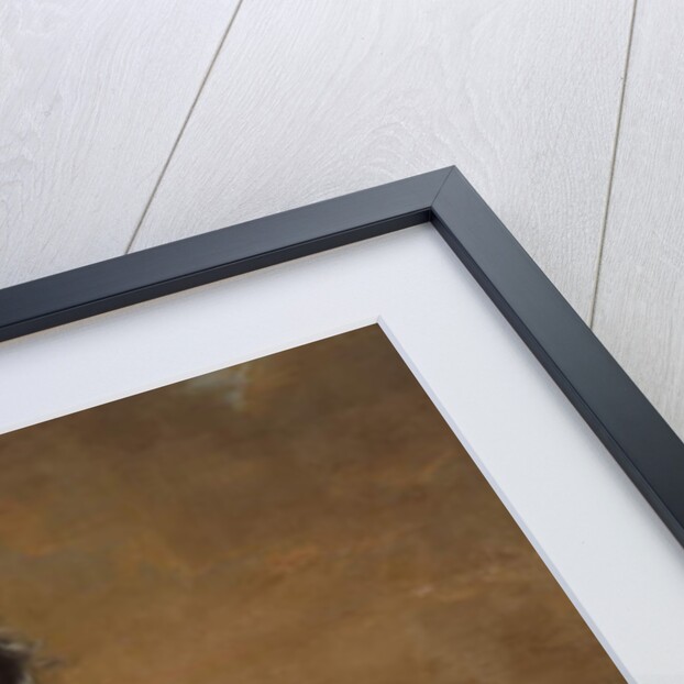 The Little Englishman, King Karl XI's Horse by David Klocker Ehrenstrahl