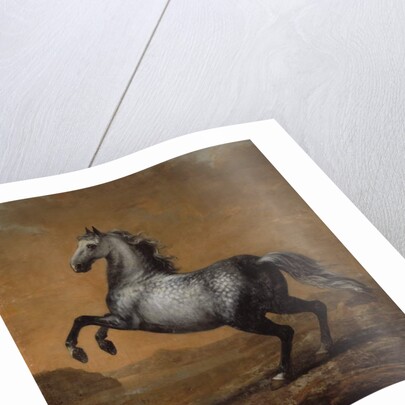 The Little Englishman, King Karl XI's Horse by David Klocker Ehrenstrahl