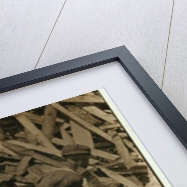 2 year old Cyral hulling strawberries from his cart at Johnson's Hulling Station, Seaford, Delaware, sometimes falling asleep for a few minutes by Lewis Wickes Hine